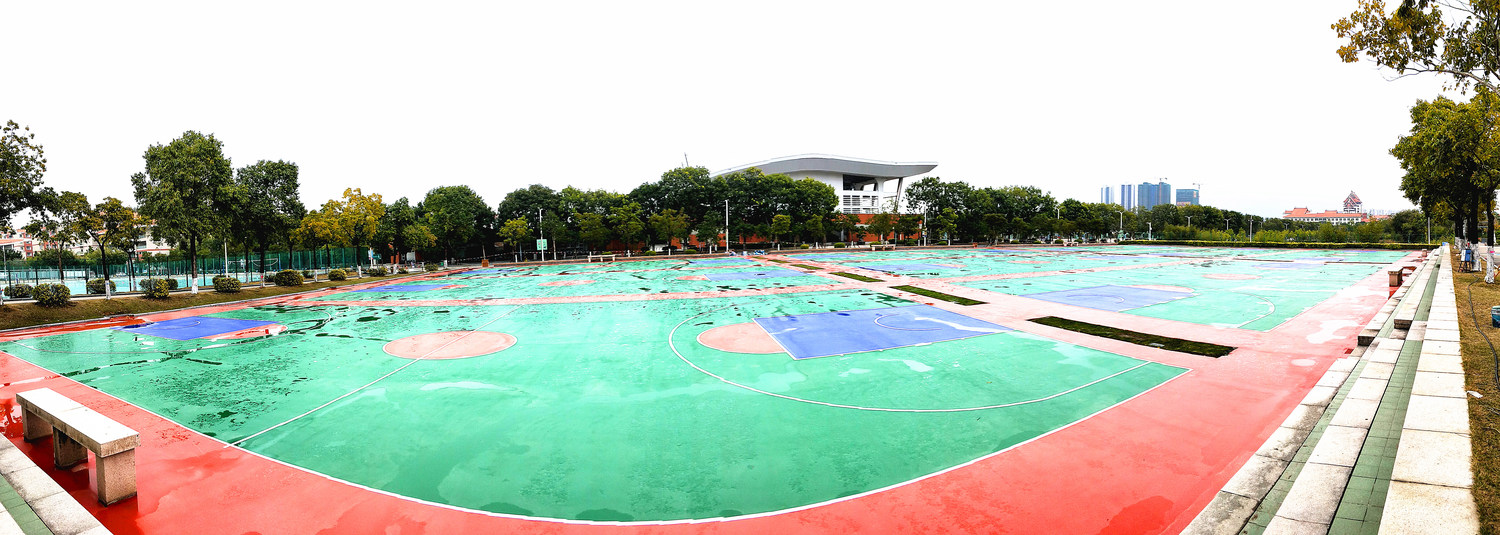 浙江硅PU球场哪家好 浙江硅PU球场哪家好